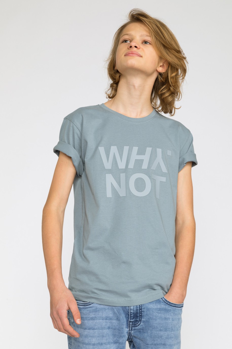 Szary t-shirt dla chłopaka z matowym nadrukiem WHY NOT - 32181