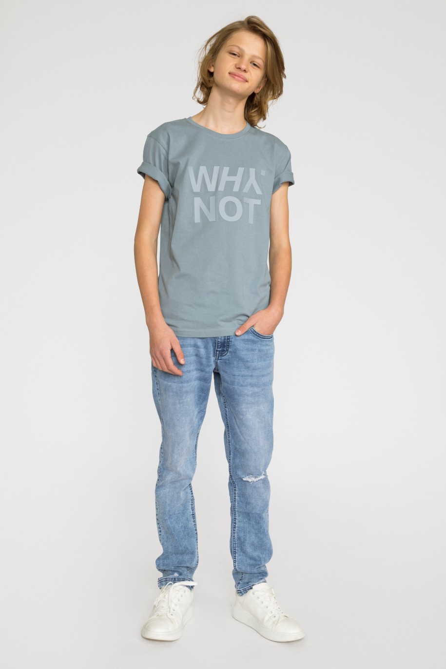 Szary t-shirt dla chłopaka z matowym nadrukiem WHY NOT - 32184