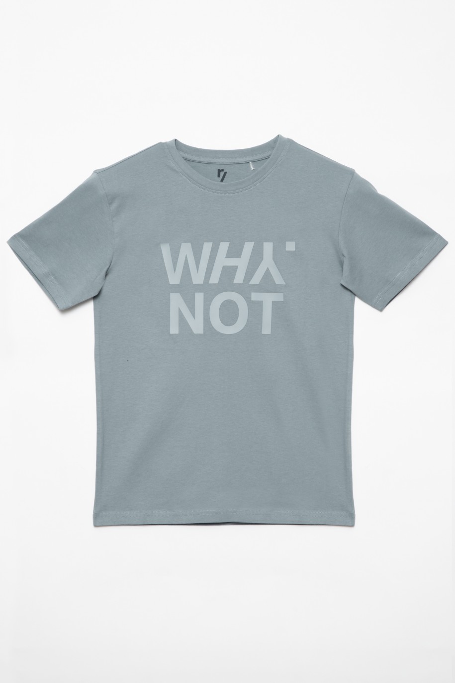 Szary t-shirt dla chłopaka z matowym nadrukiem WHY NOT - 32185