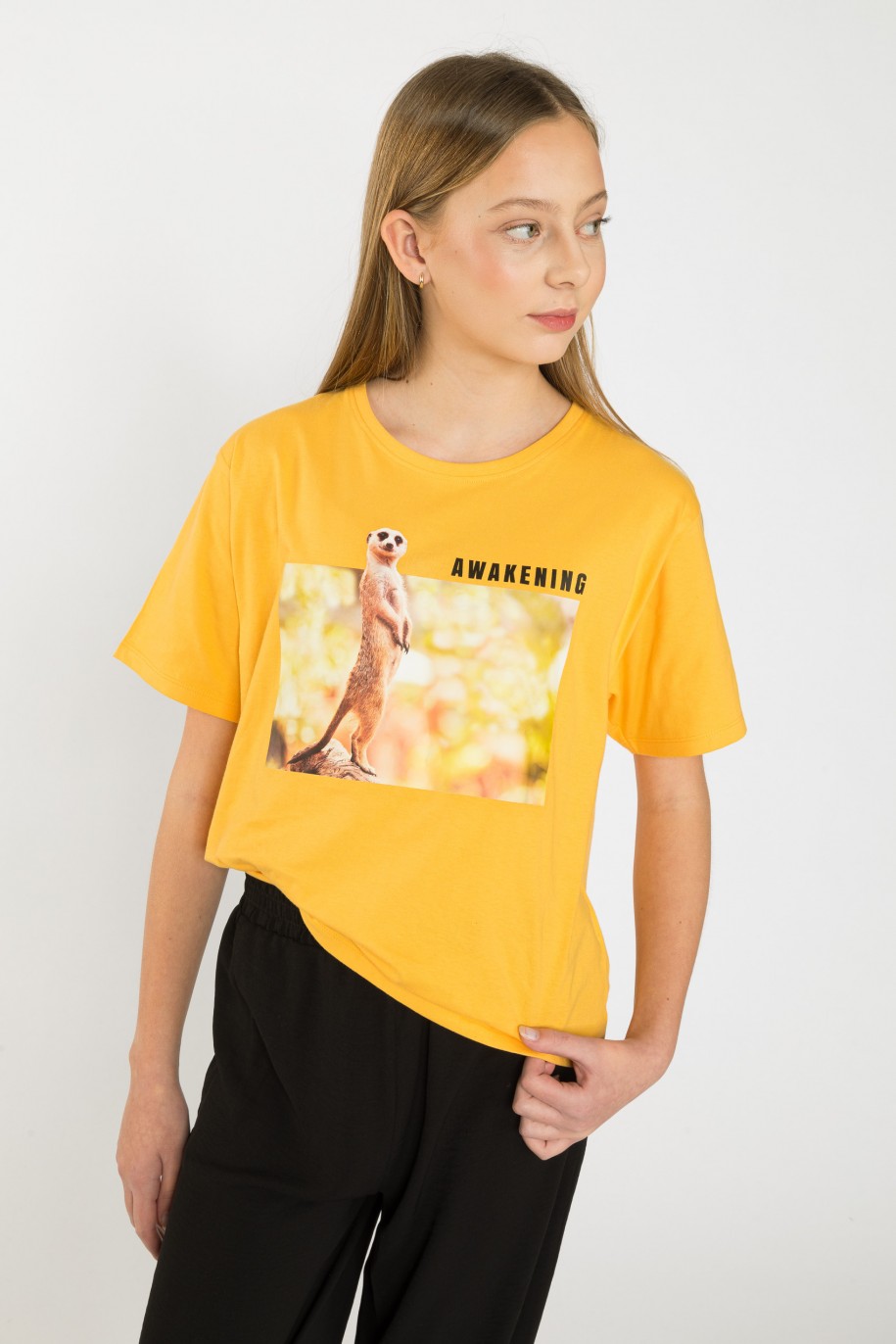 Żółty T-shirt z nadrukiem z surykatką - 41981