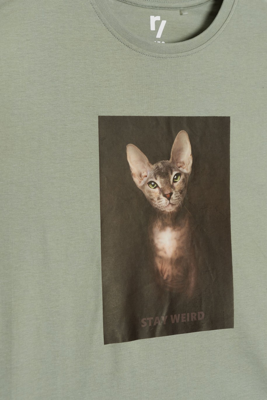 Oliwkowy T-shirt z nadrukiem z motywem kota - 44009