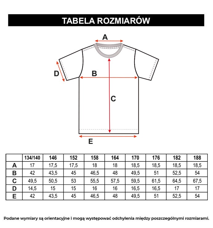 Tabela rozmiarów - Szary T-shirt z nadrukiem z przodu