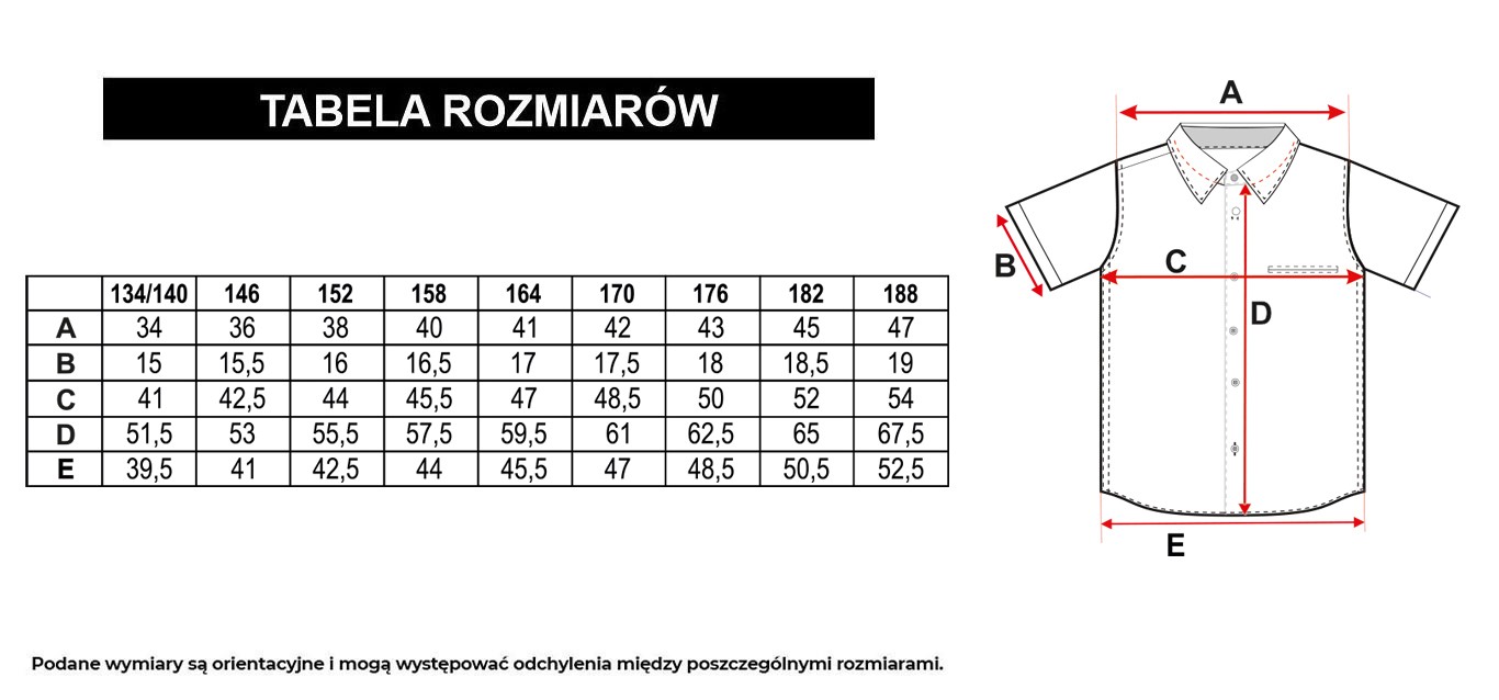 Tabela rozmiarów - Biała koszula o regularnym kroju z krótkim rękawem