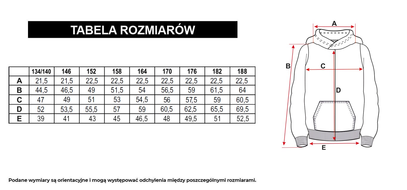 Tabela rozmiarów - Szara bluza z kapturem z grafiką z tyłu zapinana na zamek