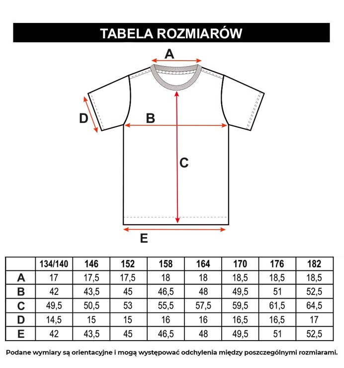 Tabela rozmiarów - Szary T-shirt z kolorowym nadrukiem z przodu