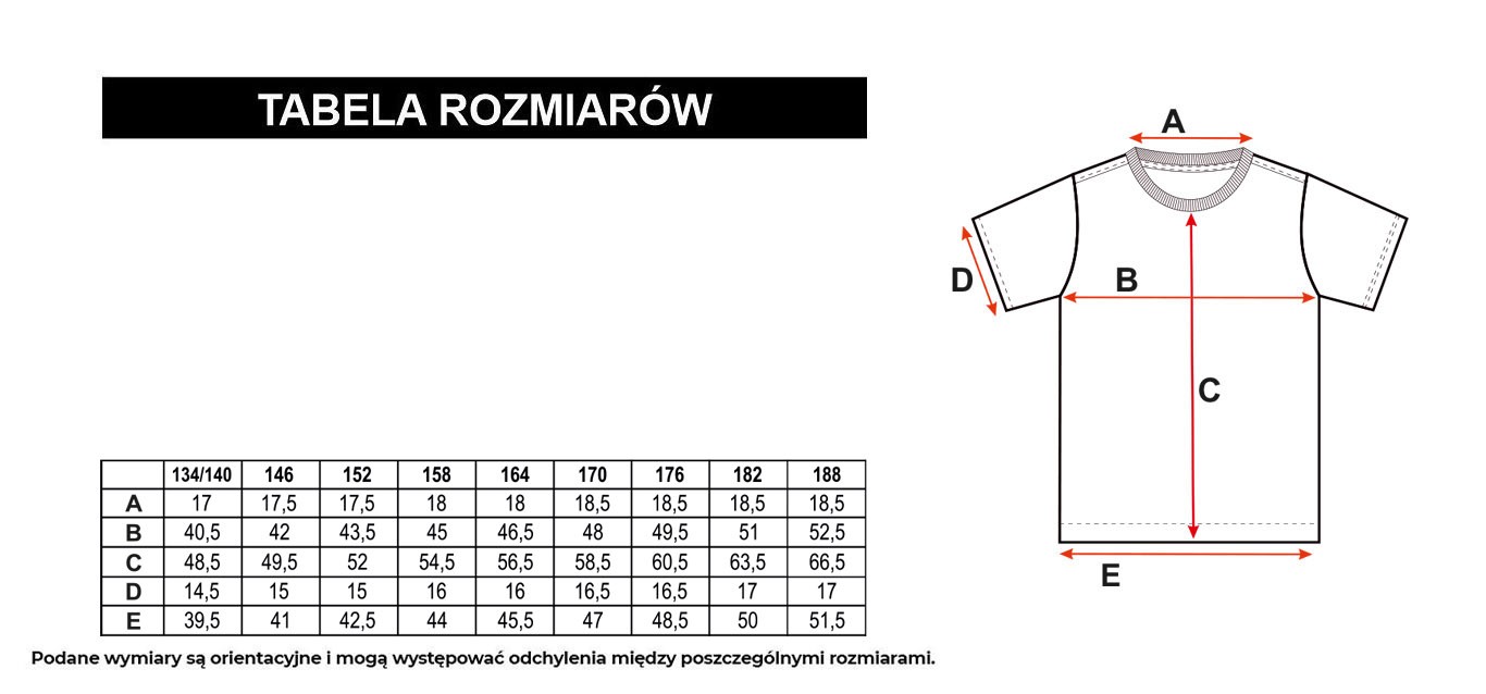 Tabela rozmiarów - Zielony T-shirt z nadrukiem