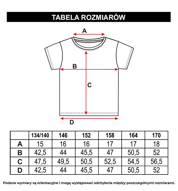 Tabela rozmiarów - Szary T-shirt z graficznym nadrukiem z przodu