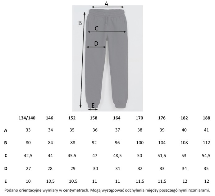 Tabela rozmiarów - Szare spodnie dresowe z nadrukiem reflective print na nogawce