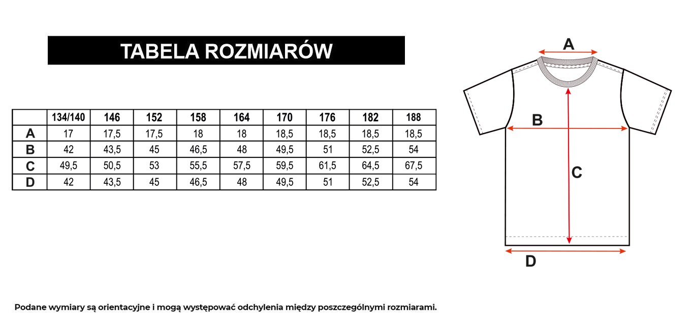 Tabela rozmiarów - Niebieski t-shirt z granatowym nadrukiem z przodu