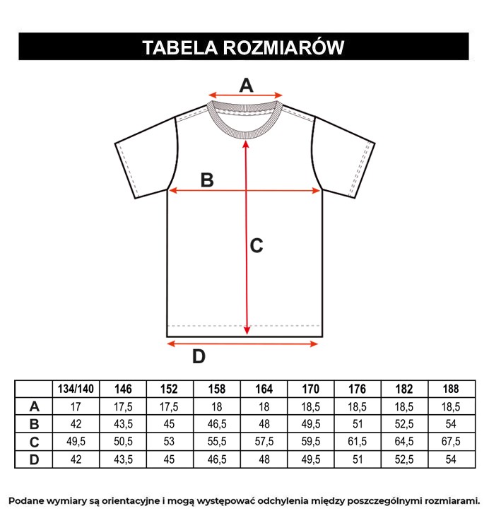 Tabela rozmiarów - Niebieski t-shirt z granatowym nadrukiem z przodu