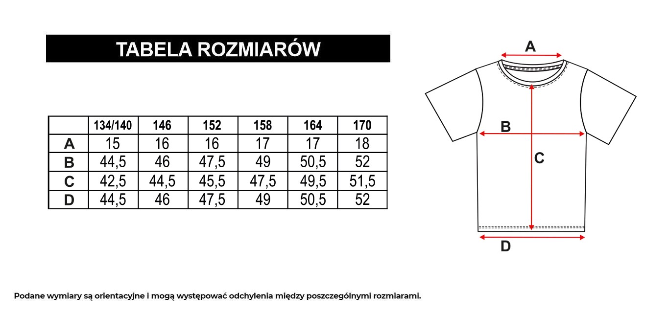 Tabela rozmiarów - Szary T-Shirt oversize z błyszczącym nadrukiem z przodu